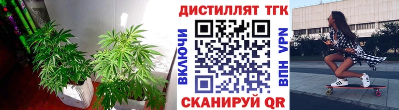 Дистиллят ТГК Wax  Устюжна 