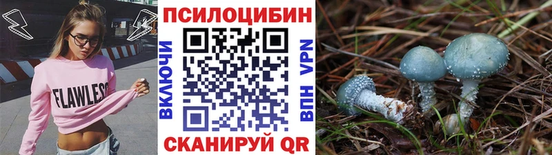 Псилоцибиновые грибы MAGIC MUSHROOMS  Устюжна 