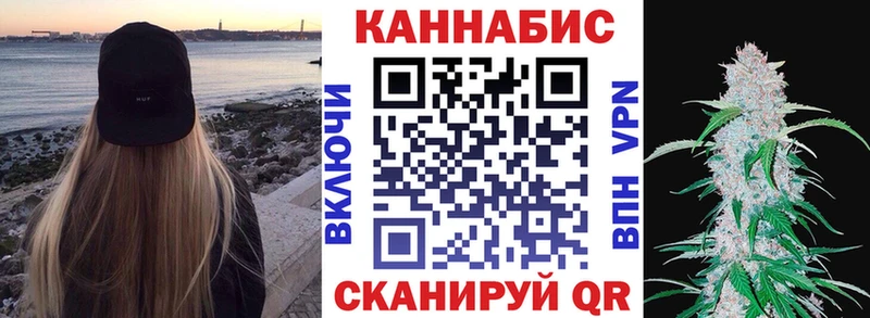 shop какой сайт  Устюжна  Бошки марихуана семена 
